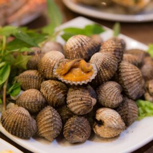 Sò huyết