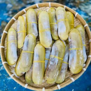 Ốc móng chân